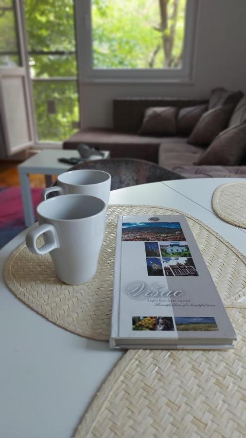 Apartman Milica Vârşeţ Exterior foto
