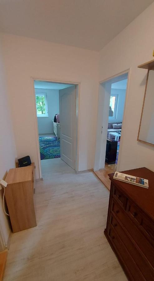 Apartman Milica Vârşeţ Exterior foto