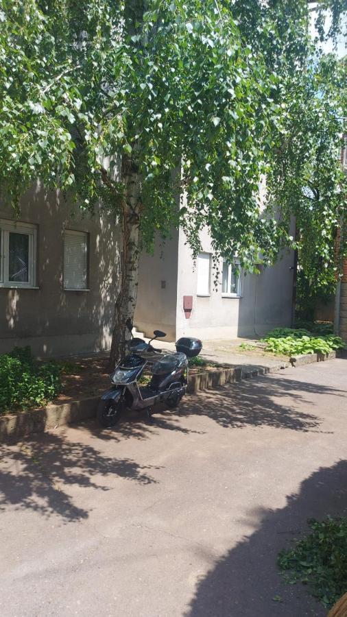 Apartman Milica Vârşeţ Exterior foto