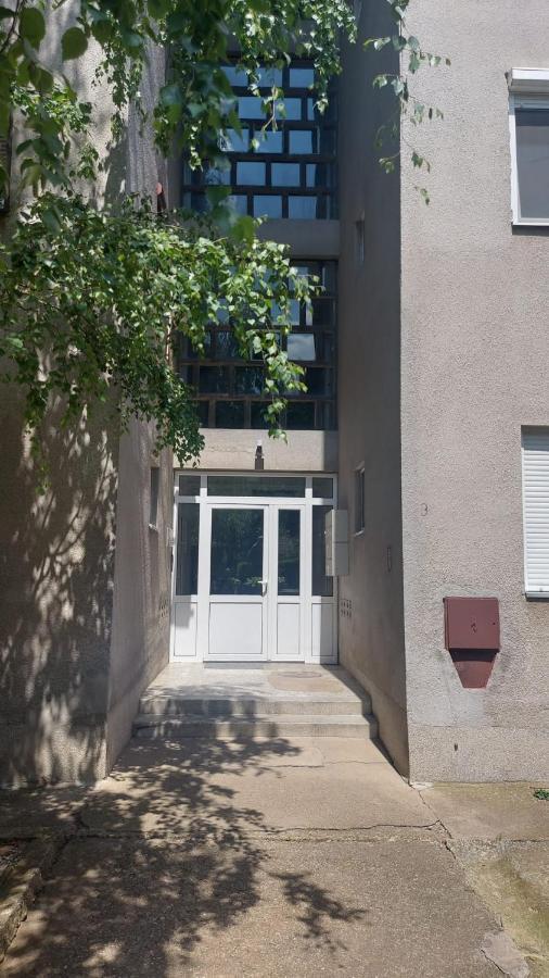 Apartman Milica Vârşeţ Exterior foto
