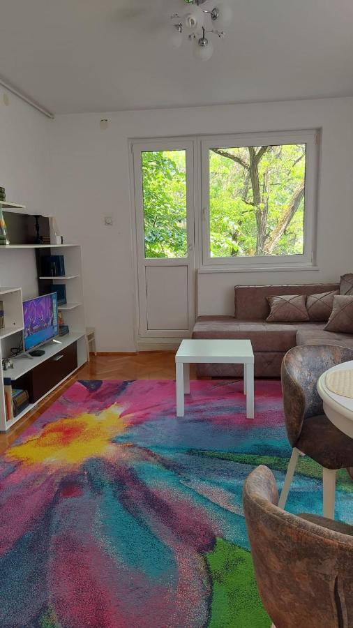 Apartman Milica Vârşeţ Exterior foto